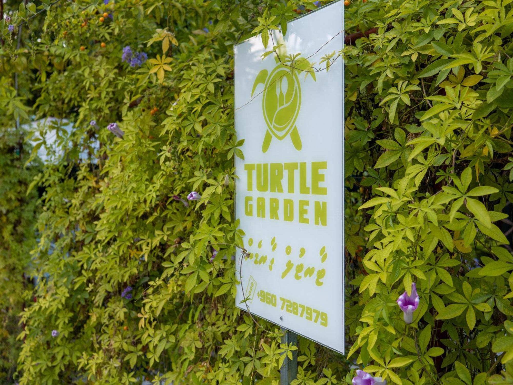 Turtle Maldives - Your Gateway To The Beach & Marine Adventures Await! Omadhoo Exterior photo