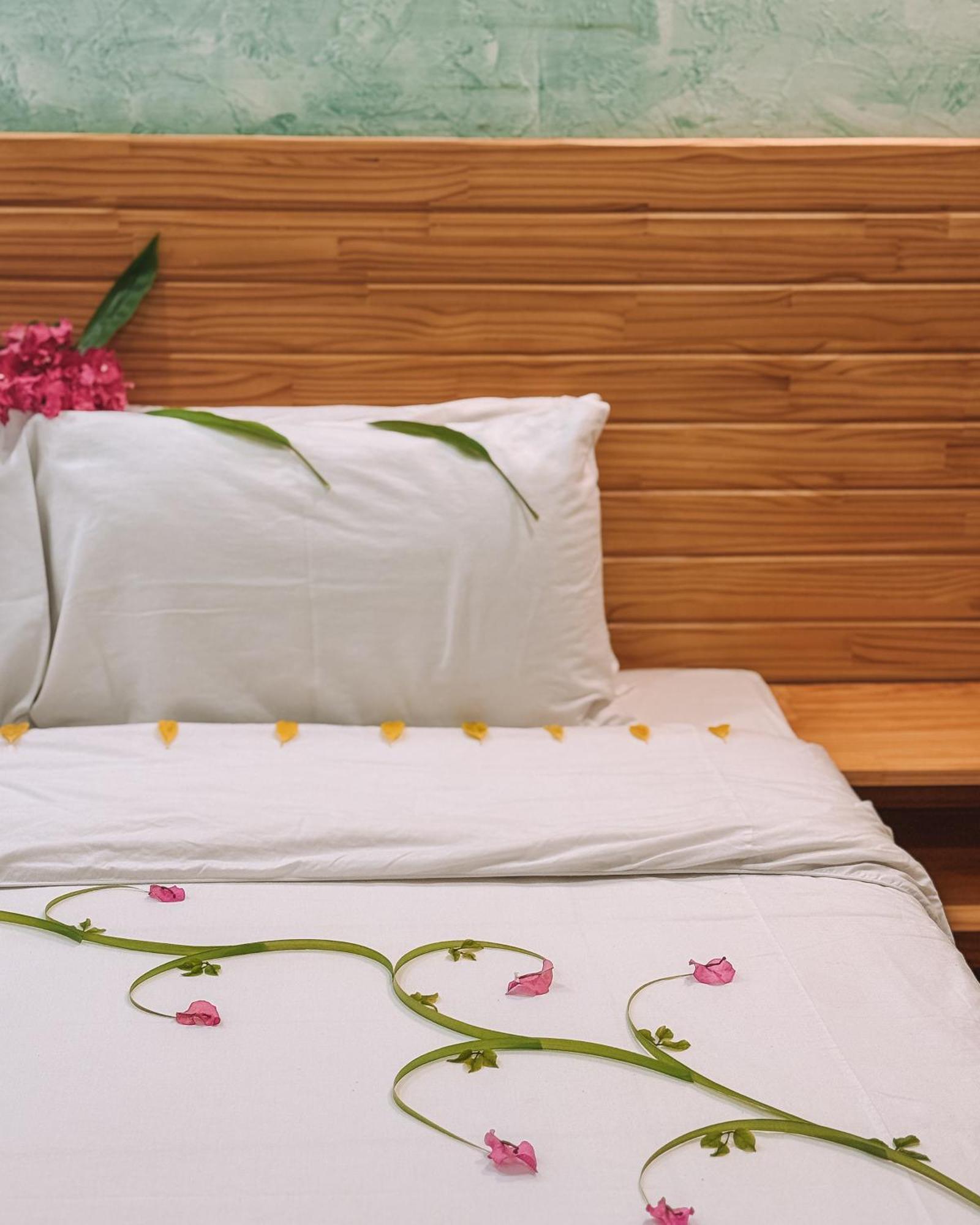 Turtle Maldives - Your Gateway To The Beach & Marine Adventures Await! Omadhoo Room photo